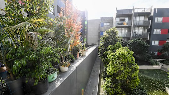 The wall separating the public housing (left) from private apartments and their exclusive garden at the Carlton development.  
