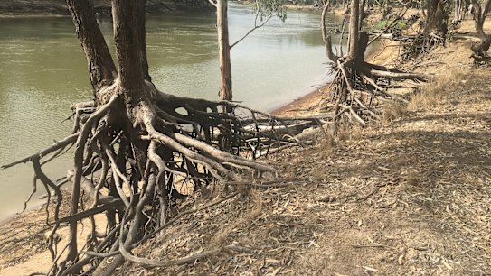 'Outrageously expensive': $1.3b Murray-Darling Basin projects queried