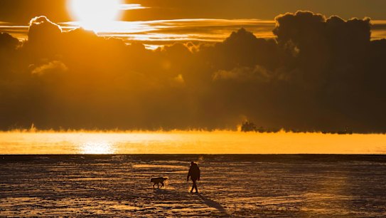 Scientists calculate that 2017 was close to the hottest year on record.