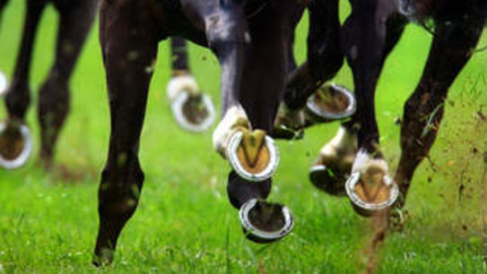 Greg and Denise Nelligan banned from Victorian racetracks