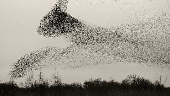 ***EMBARGOED FOR GOOD WEEKEND, MAYÂ 28/22Â ISSUE***
Gutter credit : SÃ¸ren SolkÃ¦r, Black Sun, showing at Nanda/Hobbs, Chippendale, May 25-June 11, @sorensolkaer
cr: SÃ¸ren SolkÃ¦r (supplied image, one time print &amp; online use, no archiving, no syndication, fees apply)Â 