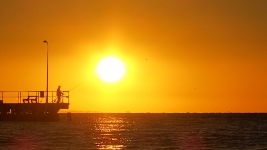 The government will review climate policies next year.