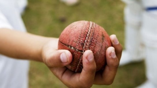 It's game on for companies looking to secure cricket rights.