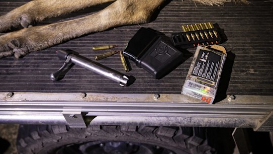 NEWS: The NSW Local Land Service Biosecurity Operations Department conduct a Rusa deer cull in the Sutherland Shire near Waterfall. After head shooting a three year old Rusa stag, Biosecurity officers GPS log the kill and collect DNA. Rifle bolt and .223 ammunition lie next to a recently head shot Rusa deer on the back of a ute. 12th November 2020, Photo: Wolter Peeters, The Sydney Morning Herald.