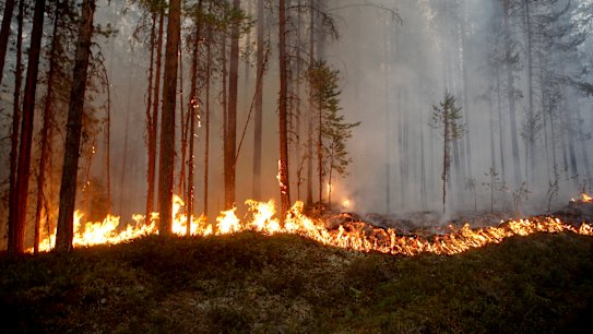Record-breaking heat hits Norway, Finland and Sweden