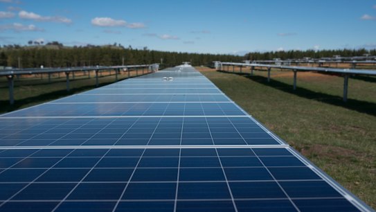 Across Australia, billions of dollars are being pumped into new solar farms.