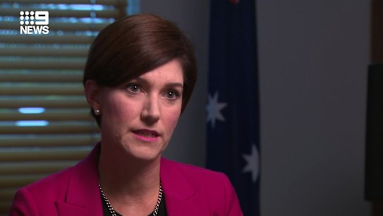Liberal MP Nicolle Flint tells 9News political editor Chris Uhlmann she's prepared to sit down with Labor after she accused the opposition of politicising the issue of women's safety.