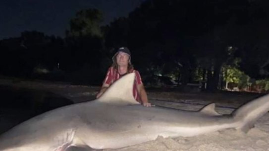 A fisherman caught and then released a three-metre bull shark while fishing in the Swan River, two kilometres from where a teenager was fatally mauled.