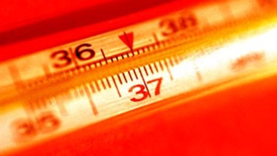 Vienna's subways hotter than cattle cars: free deodorants for riders