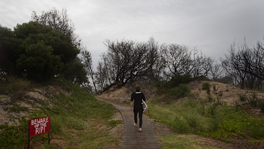 Early morning surfer at Tip Beach.