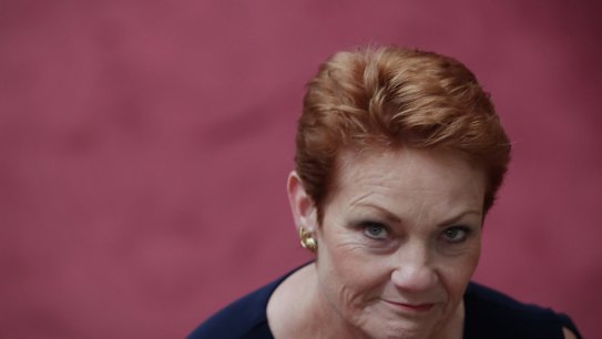 One National leader Pauline Hanson said Vladimir Putin was doing ''so well'' for his country. 
