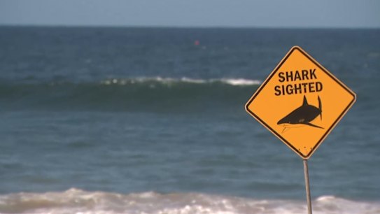 Friends and locals have remembered surfer Mercury Psillakis, who was killed in a shark attack on a Sydney beach.
