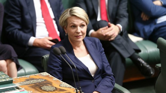 Acting Opposition Leader Tanya Plibersek during question time on Monday.