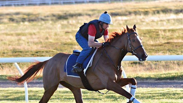 Red Cadeaux.