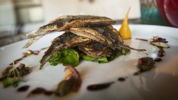 Fresh sardines with walnut and rocket salad and balsamic.