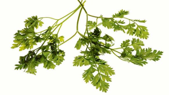 Chervil grows slowly over winter, but Chris Grant, of Central Highland Herbs, says it flourishes in spring.