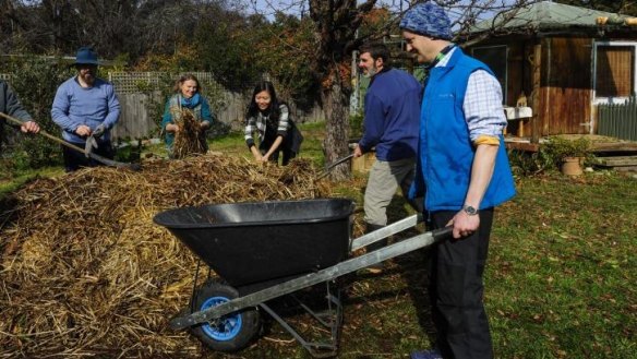 Digging the spirit: Andrew Bartolich, left, Claire-Louise Hayashi, Chelsea Wu, Chris Boswell and Paul Harvey working on the new compost heap.