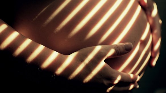 Pregnancy rates for Australian women aged 15 to 19 vary across states, from 45 births per 1000 women in Northern Territory, to 8 per 1000 in the ACT. 