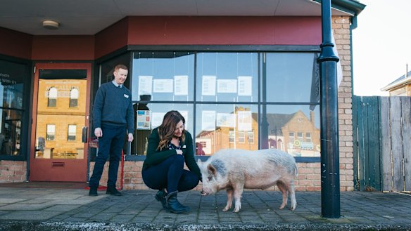 Celia Pacquola: "We like making a big deal out of little things...[such as] finding a pig."