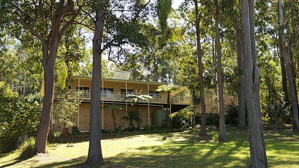 William Tyrrell was playing in his grandmother's backyard before he disappeared. 