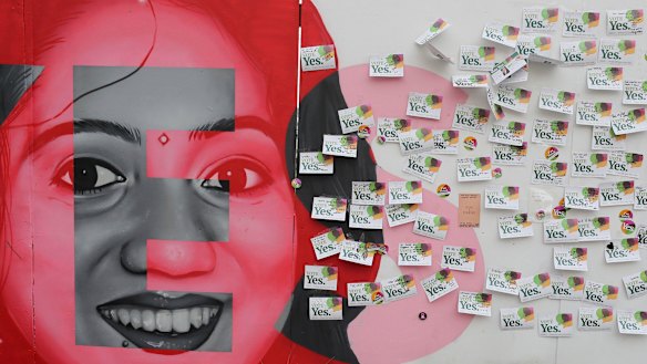 A mural of Savita Halappanavar, a 31-year-old dentist who had sought and been denied an abortion before she died after a miscarriage.