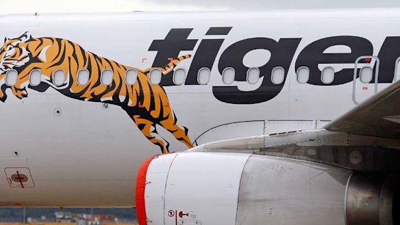 Tiger Airways flies in its top team to put case for lifting flights ban