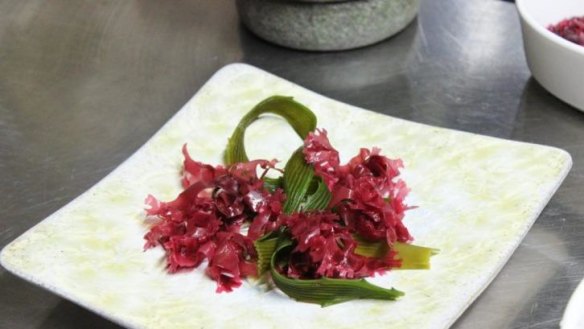 Cetos SaltnPepper from <i>Coastal Chef: Culinary Art of Seaweed and Algae in the 21st Century.</i>