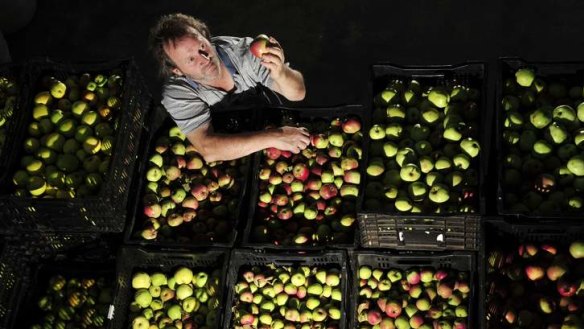 Old school ... Gary Sully-Watkins has been experimenting with  cider at  Reidsdale, near Braidwood, for the past five years.
