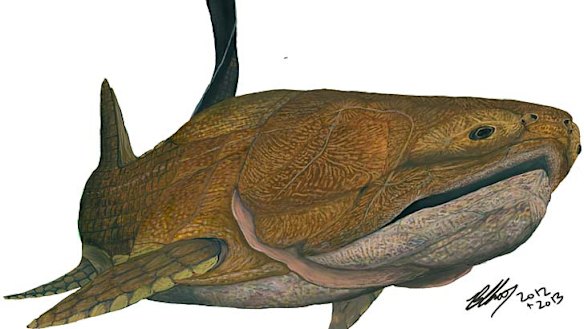 Scientists come face to face with evolution's missing link