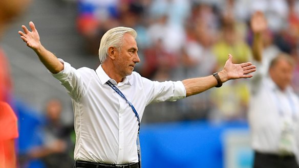 Frustration: Australian manager Bert van Marwijk throws his hands in the air.