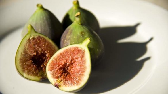 Once picked, the fig does not ripen further. So take care when to pick your figs at harvest time.