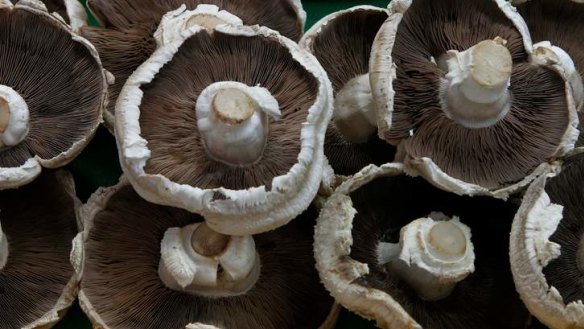 Don't wash: If necessary, wipe or brush away compost on mushrooms.