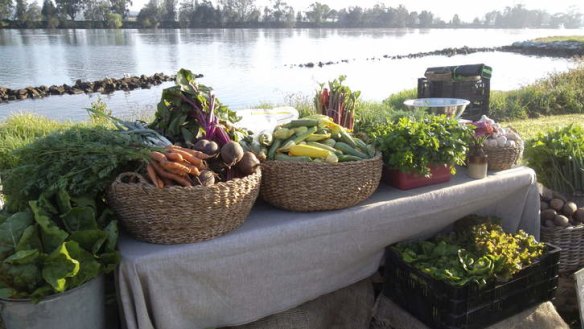 Saffery and Patrick's Queen Street Growers produce by the Moruya River.
