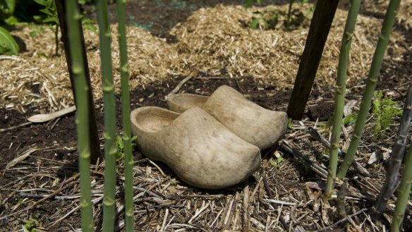 Soul symbol ... Adrian van Leest treasures the Dutch clogs his father wore by placing them in his Campbell garden.