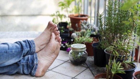It's not that difficult to enjoy the benefits of balcony gardening. Photo: Getty Images