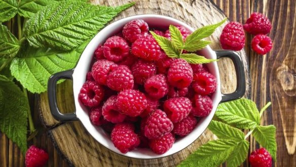 Raspberries are always a welcome addition to the kitchen.