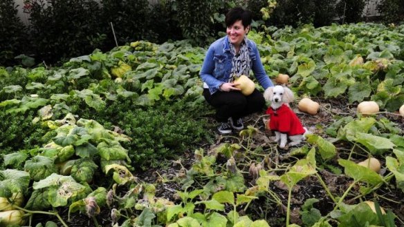 Sarah Hinde with her dog Kirby among the pumpkin vines in her garden in Kambah.