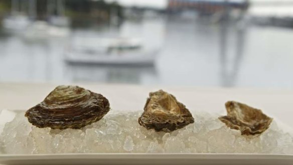 Threesome ... Moonlight flat oysters at the Boathouse on Blackwattle Bay. Oysters, from left, are Moonlight Flat Angasi, Label Rouge and Claire de lune Bouton.