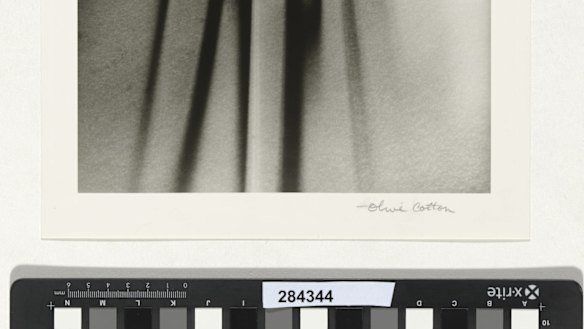 Olive Cotton
Glasses 1937
silver gelatin photograph 
National Gallery of Australia, Canberra
Purchased 2016