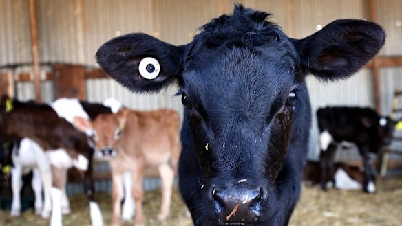 The plant closures will cost 360 people their jobs. 
