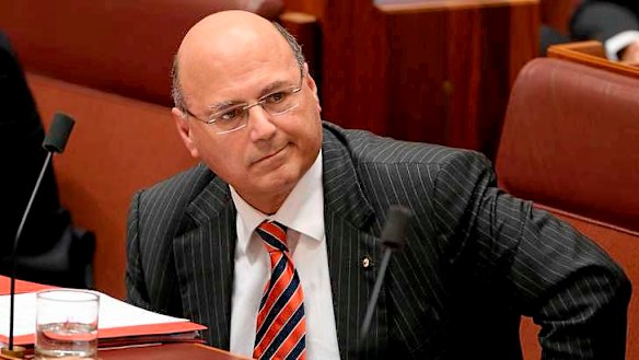 Senator Arthur Sinodinos, who was both a director/chairman of Australian Water Holdings and an executive office holder of the NSW division of the Liberal Party.