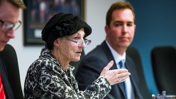 Auditor-General Maxine Cooper giving evidence this week at a separate hearing into the ACT government's farm buy-ups.