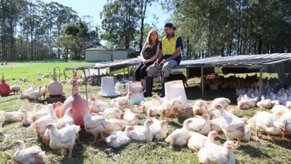 Contented stock: the poultry at Burrawong Gaian Farm are pasture-fed and stress-free.