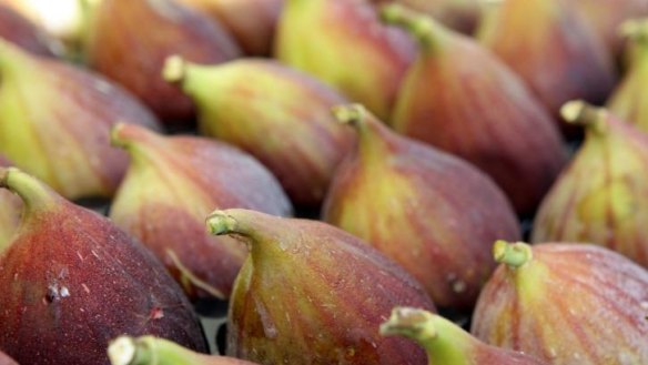 Figs.