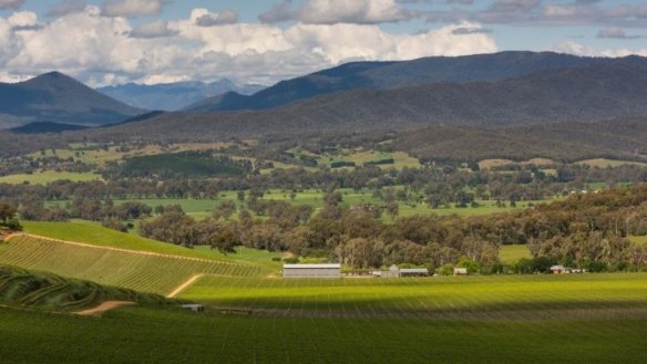 Food with a view: The valley seen from Dal Zotto Wines.
