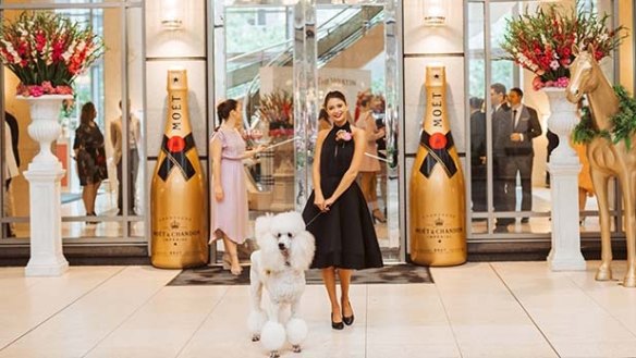 Fashion and good champagne collide at the Moet & Chandon Melbourne Cup Breakfast at the Westin, Melbourne. 