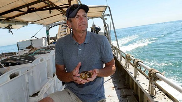 Oyster farmer Lance Wiffen harvests his crop off the coast of Portarlington. With its frilled, flat shell, the angasi oyster in his hands is highly prized for its texture and taste.