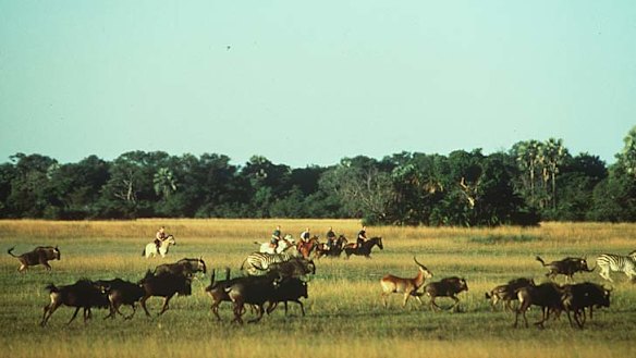 Riders come almost within touching distance of the game.