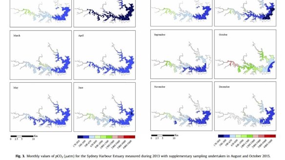 Seasonal variation in carbon dioxide in the Sydney Harbour system.