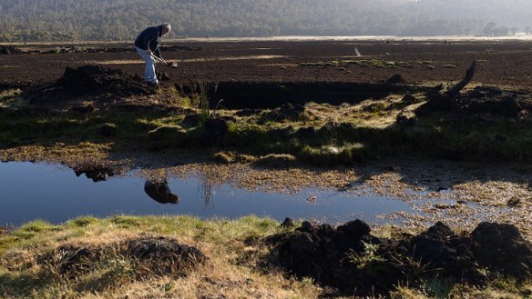Bill Lark coopering at a peat bog in the Tasmanian highlands.